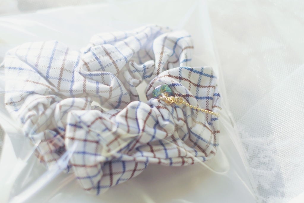 渚のお嬢さんシュシュ