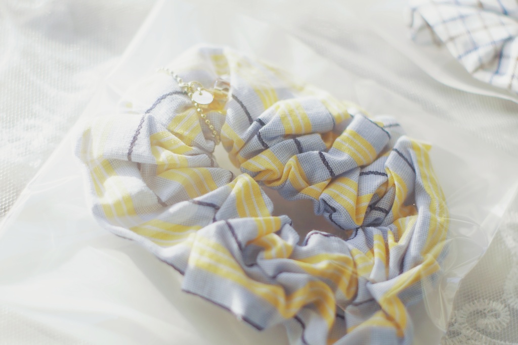 渚のお嬢さんシュシュ