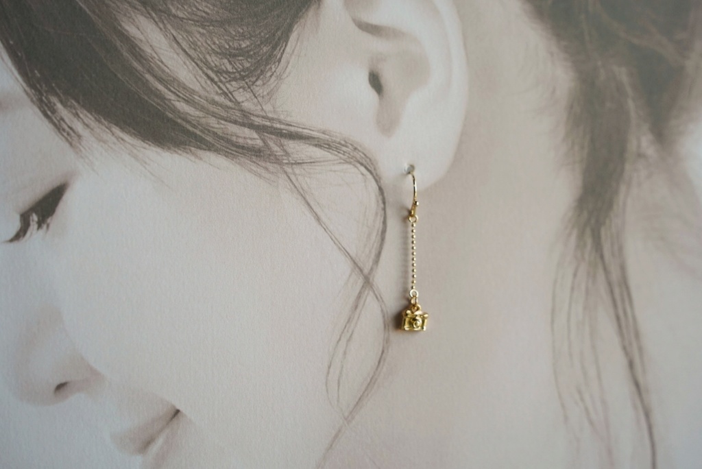 ミニカメラの耳飾り