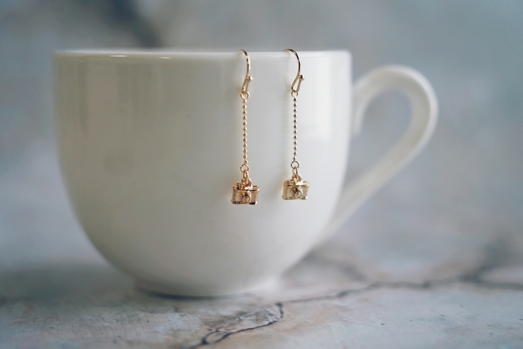 ミニカメラの耳飾り