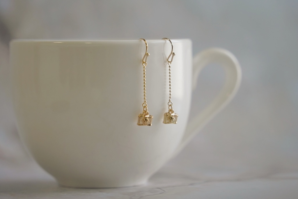 ミニカメラの耳飾り