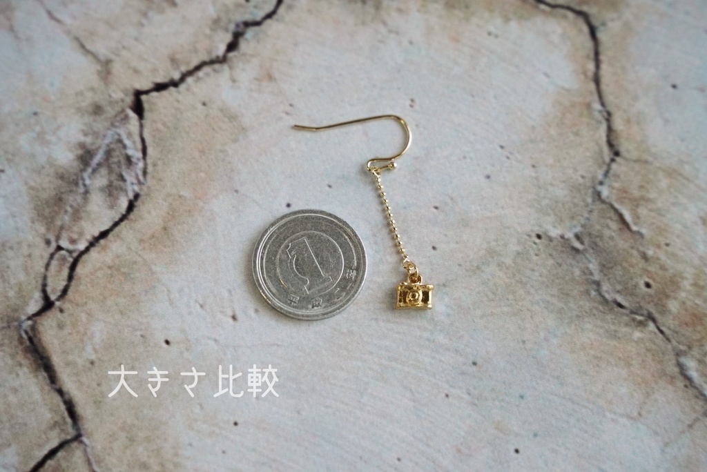 ミニカメラの耳飾り