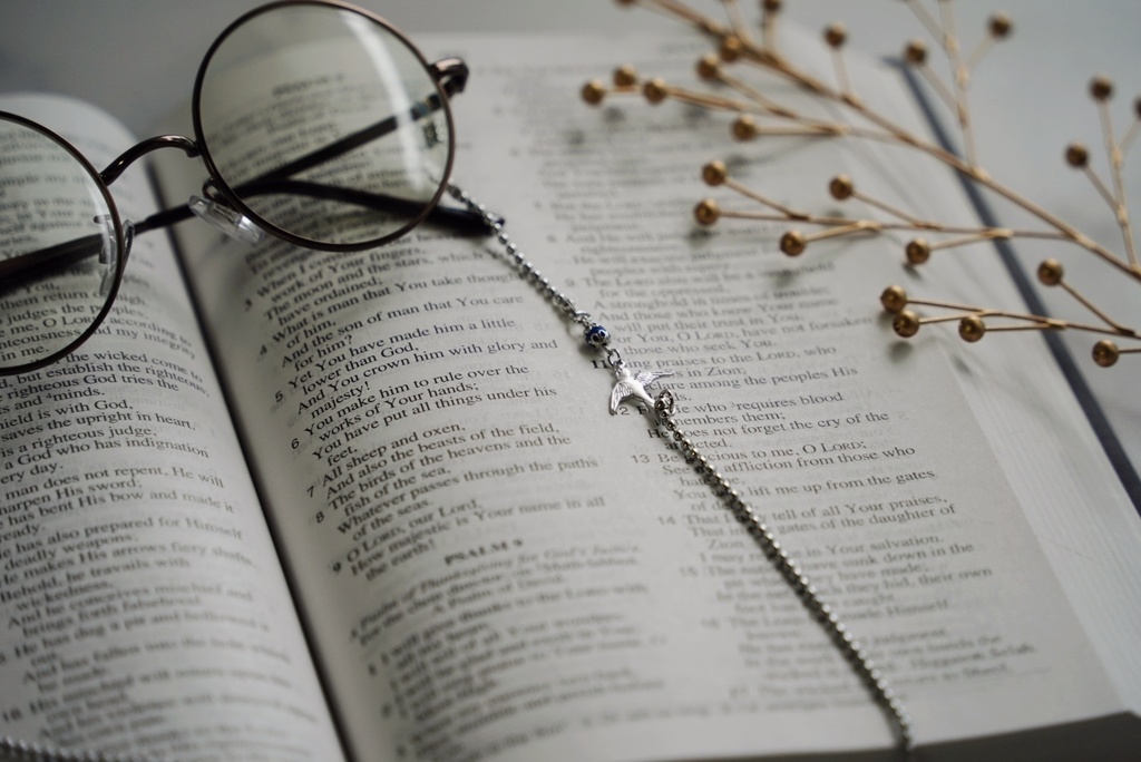 ツバメの眼鏡チェーン