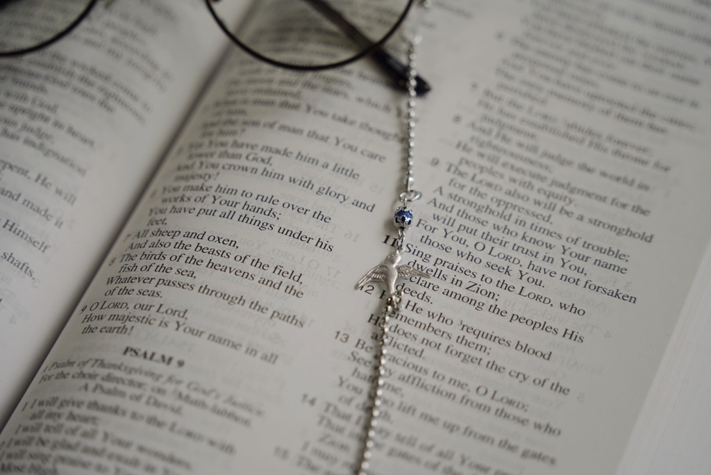 ツバメの眼鏡チェーン