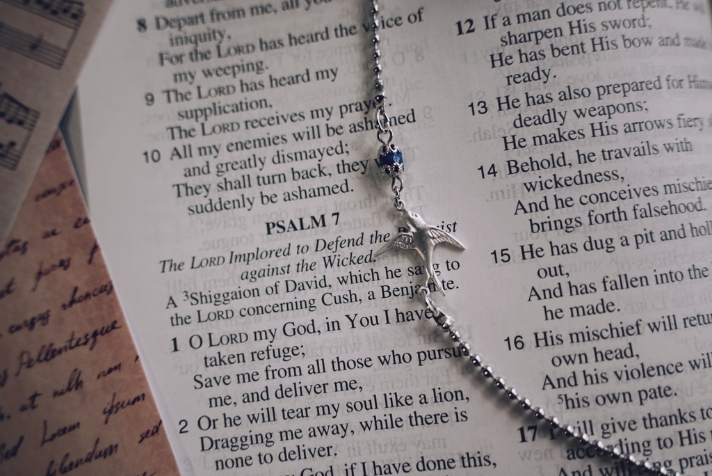 ツバメの眼鏡チェーン