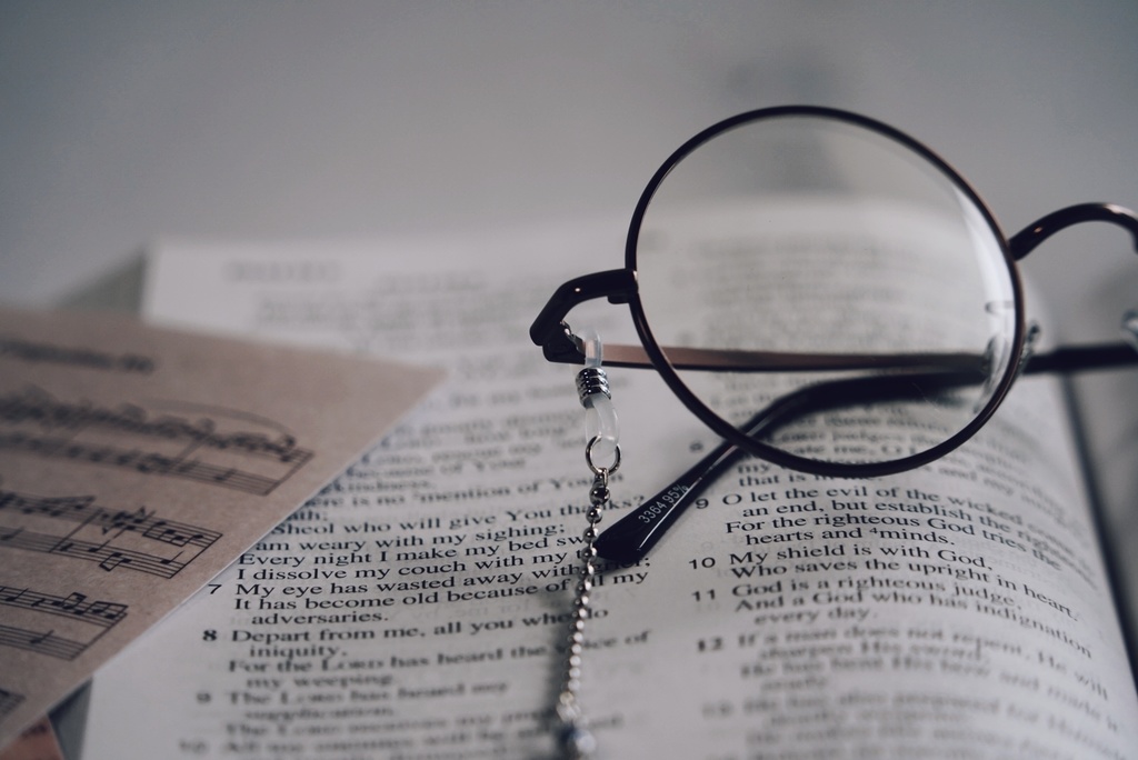 ツバメの眼鏡チェーン