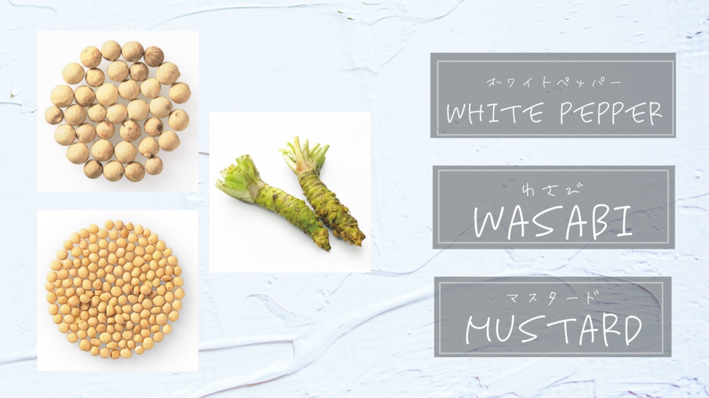 スパイスカラーのロングネックレス