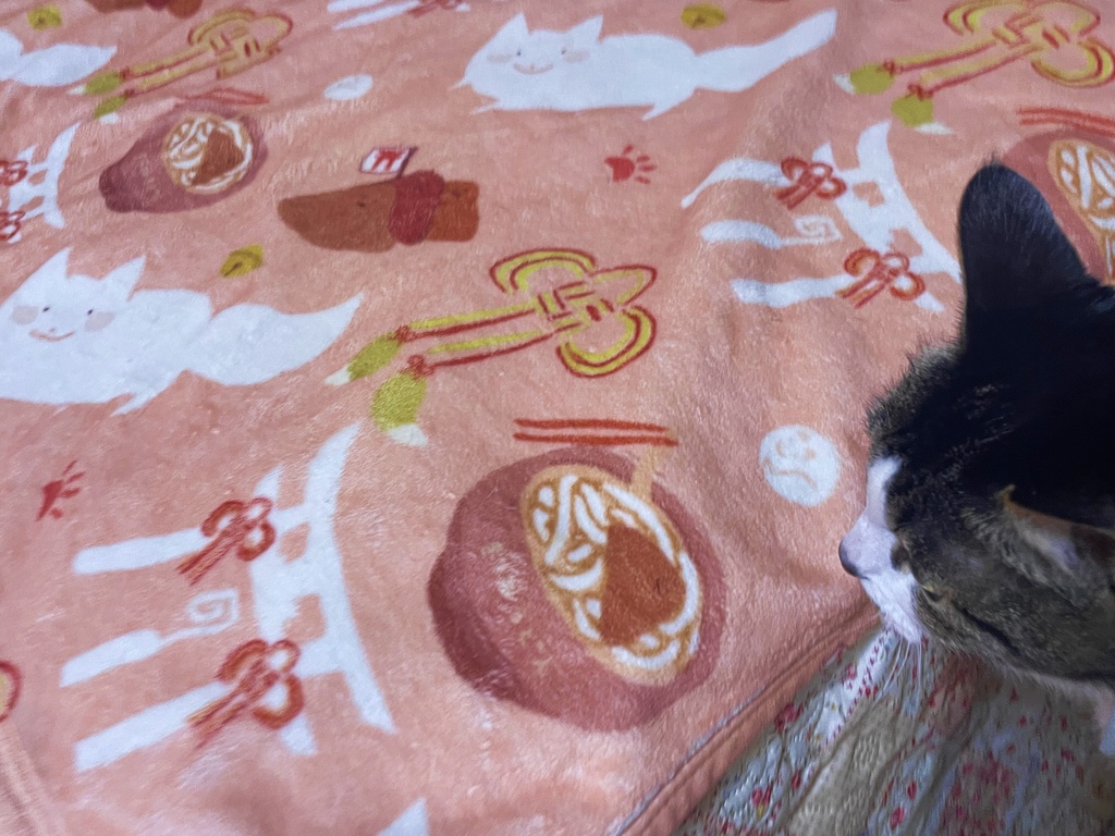 桃色白こんこんさんブランケット