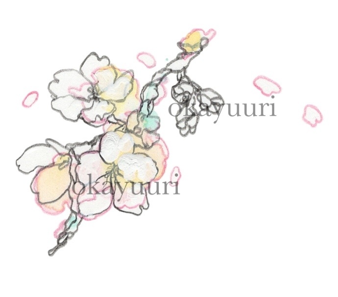 【カット】花びら散る桜の枝