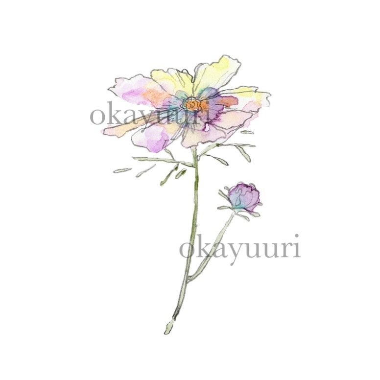 【カット】コスモス1輪