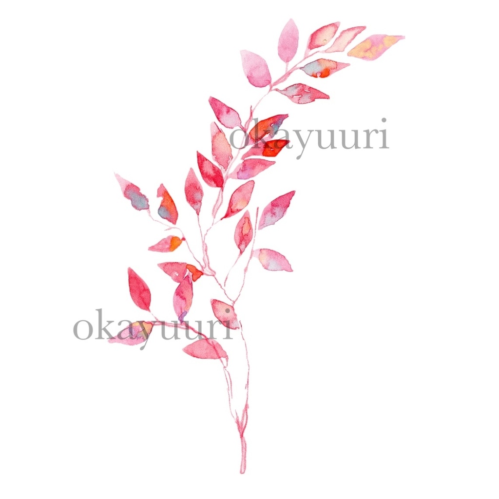 【カット】赤い葉の枝