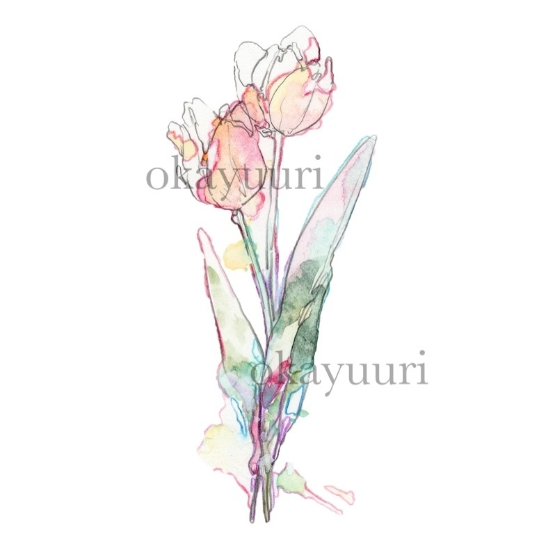 【カット】ピンクのチューリップ2輪 花束