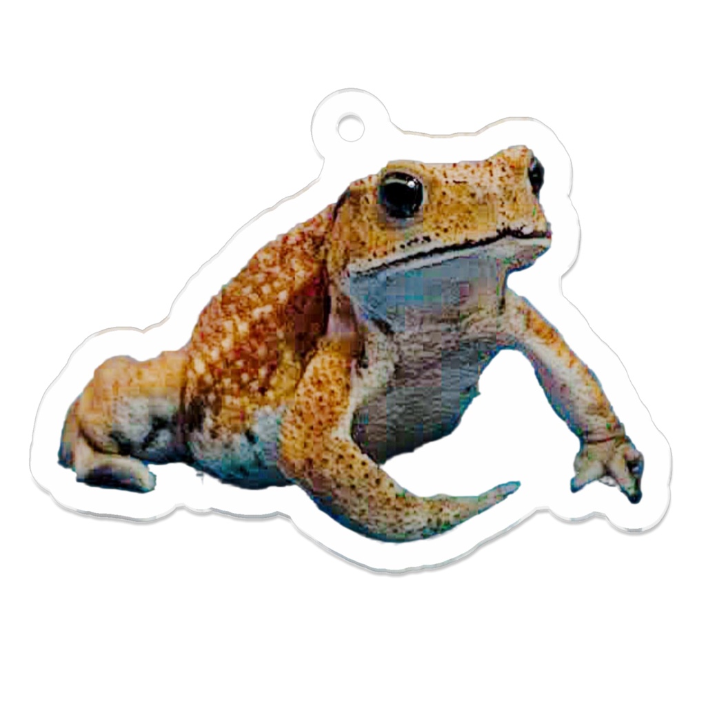 もぐちゃん(ロゴなし)