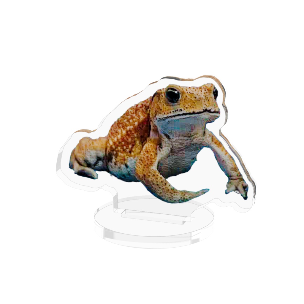 もぐちゃん(ロゴなし)