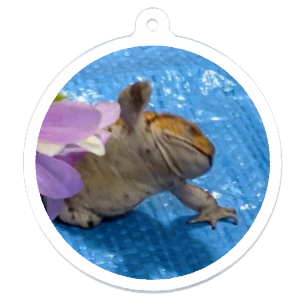 もぐちゃん(ずっこけ)