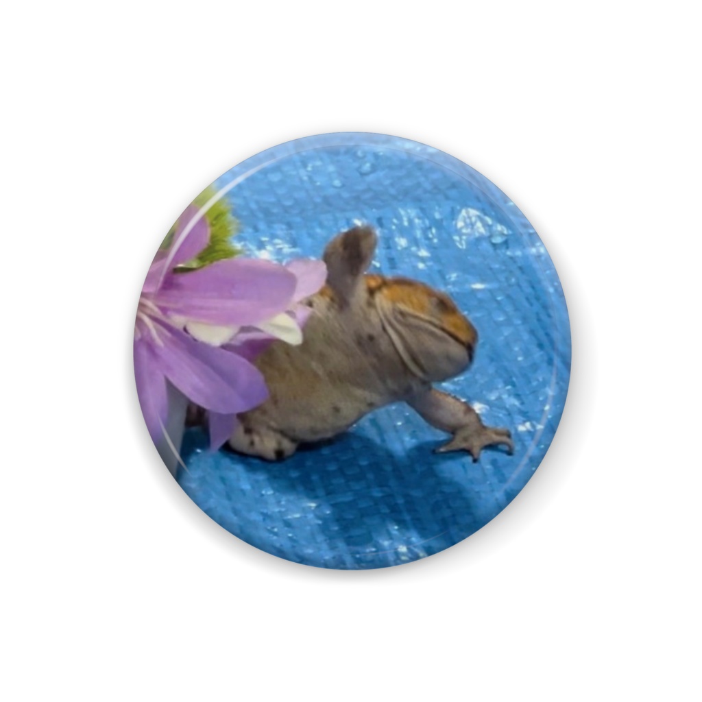 もぐちゃん(ずっこけ)