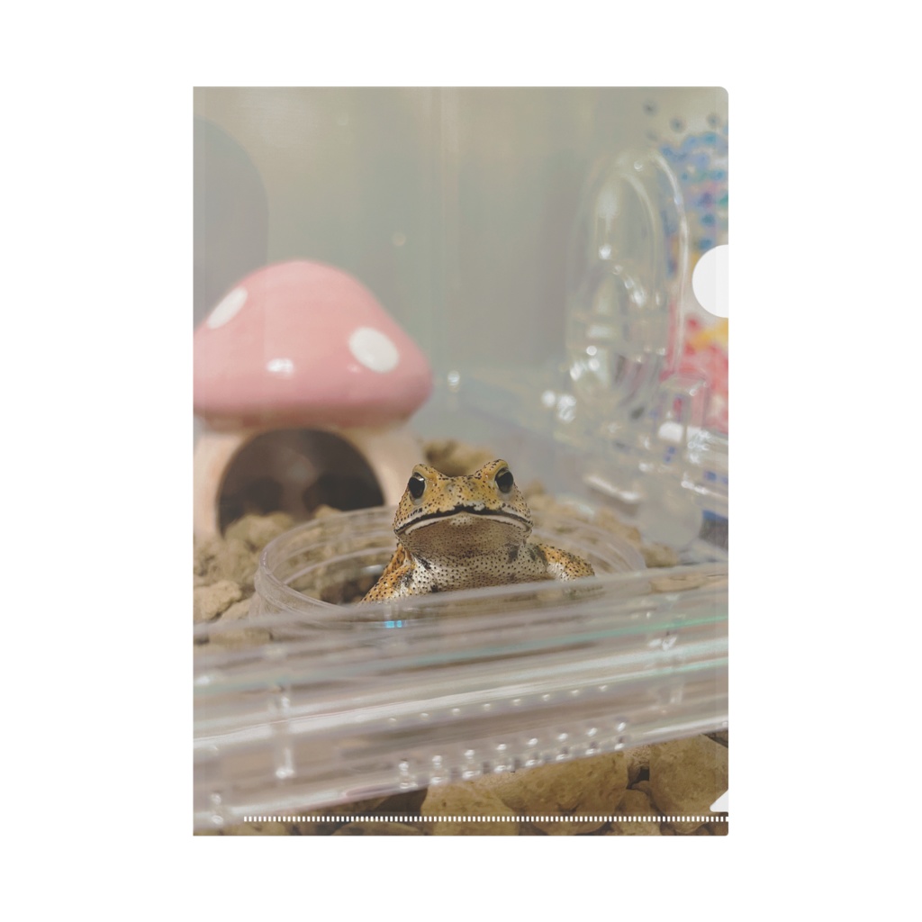 もぐちゃん(ひょこっ)