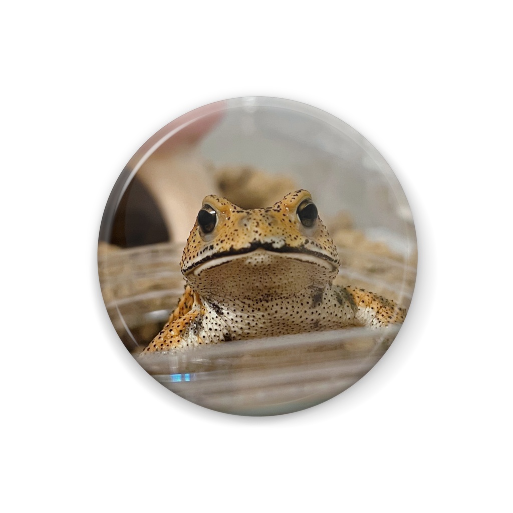 もぐちゃん(ひょこっ)