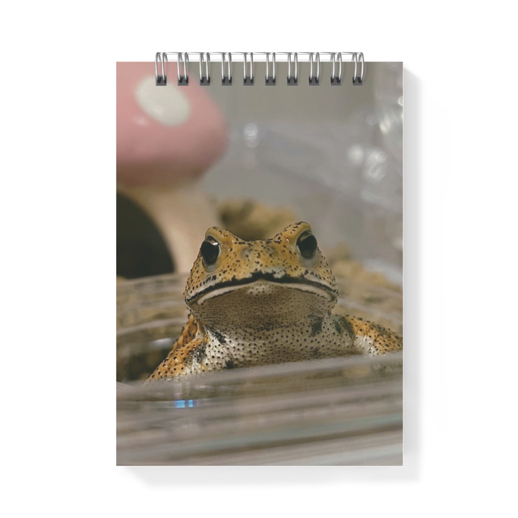 もぐちゃん(ひょこっ)