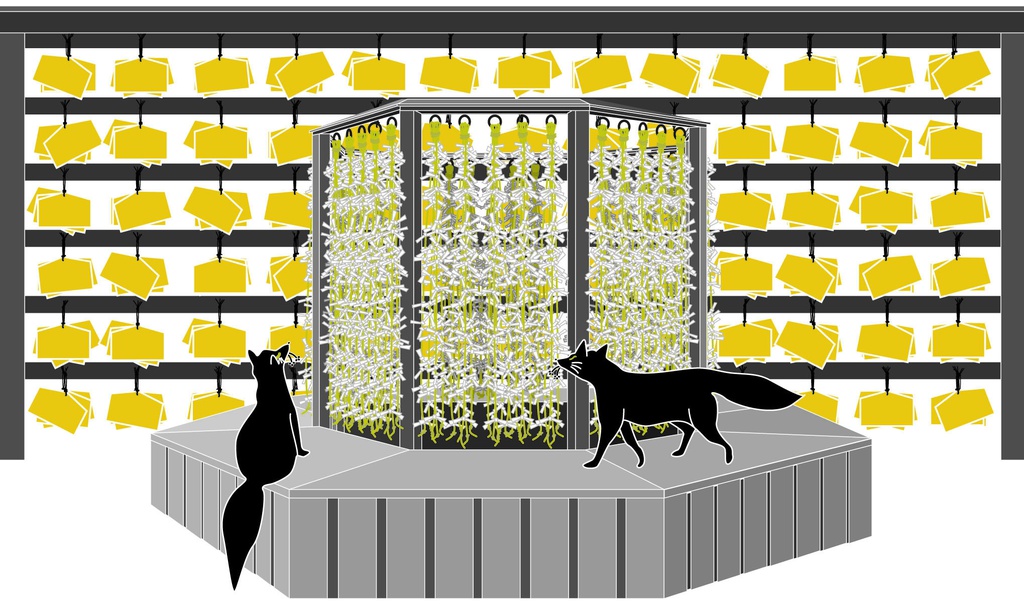★再々々販★ 黒狛狐と穂波 白ポストカード5枚セット 秋 稲荷神社 鳥居 日本 和 動物 御朱印