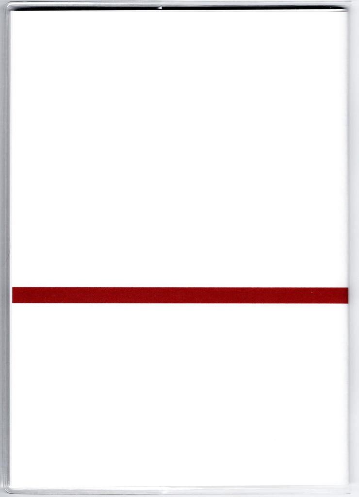 4月始まり 2022年 御札狐 スケジュール手帳 イラストカバー2枚 栞付き B6 全64ページ 狐の嫁入り