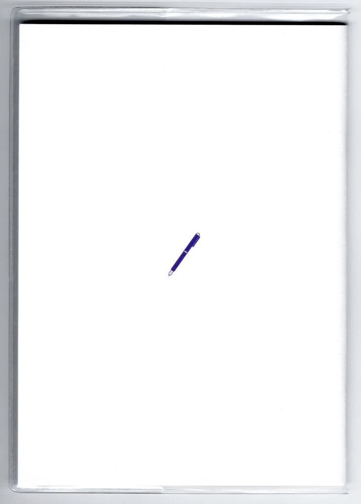 10月始まり 2023年 文豪鶴原稿用紙 スケジュール手帳 イラストカバー2枚 栞付き B6 全64ページ 鳥 万年筆