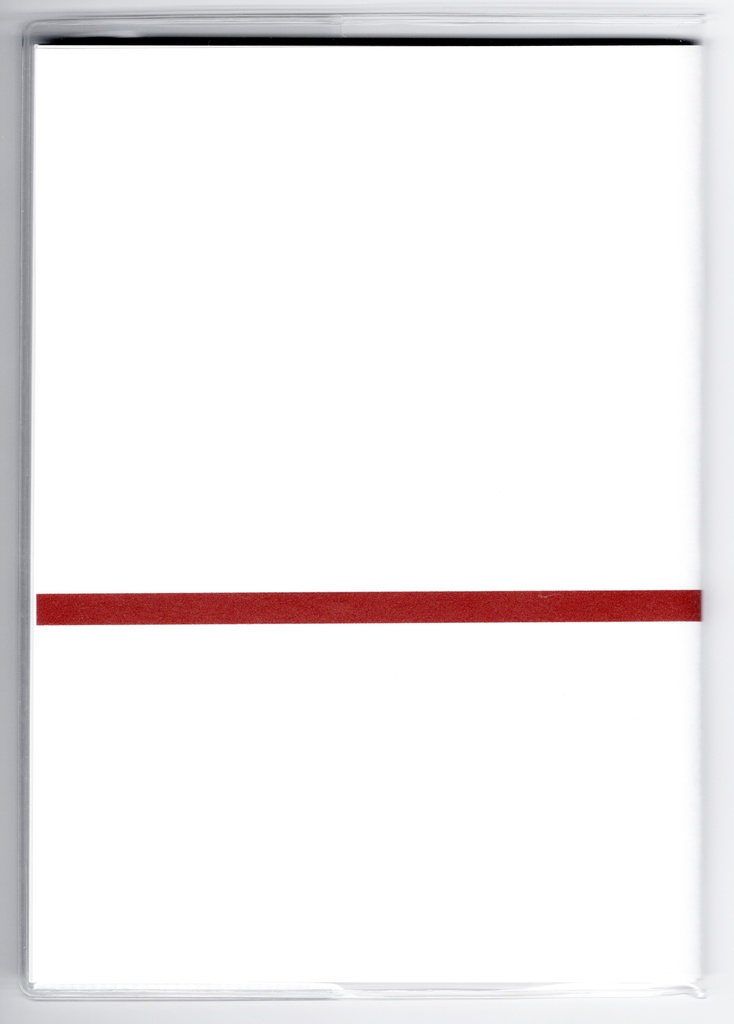 3月始まり 2023年 御札狐 スケジュール手帳 イラストカバー2枚 栞付き B6 全64ページ 狐の嫁入り 狛狐 4月始まり