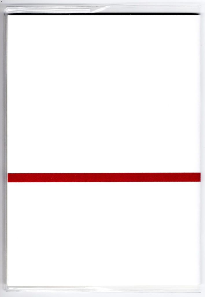 10月始まり 2025年 御札狐 スケジュール手帳 イラストカバー2枚 栞付き B6 全48ページ 巳年 狐の嫁入り 狛狐 狐面