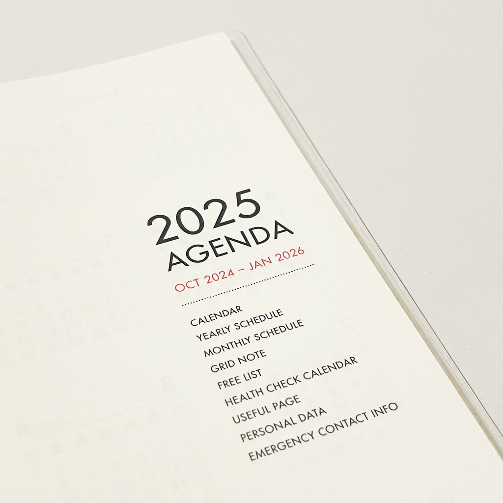 10月始まり 2025年 餅つき兎 スケジュール手帳 イラストカバー2枚 栞付き B6 全48ページ 巳年 兎 うさぎ