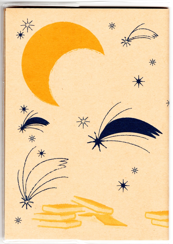 10月始まり 2025年 夜の読書会 糖花星紺箒星 スケジュール手帳 イラストカバー2枚 栞付き B6 全48ページ 巳年 クマ 月 流れ星