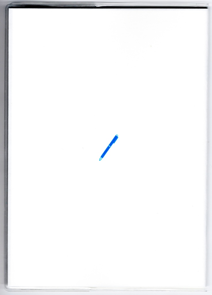 10月始まり 2025年 文豪熊原稿用紙 スケジュール手帳 イラストカバー2枚 栞付き B6 全48ページ 巳年 文豪 万年筆 着物 動物 クマ