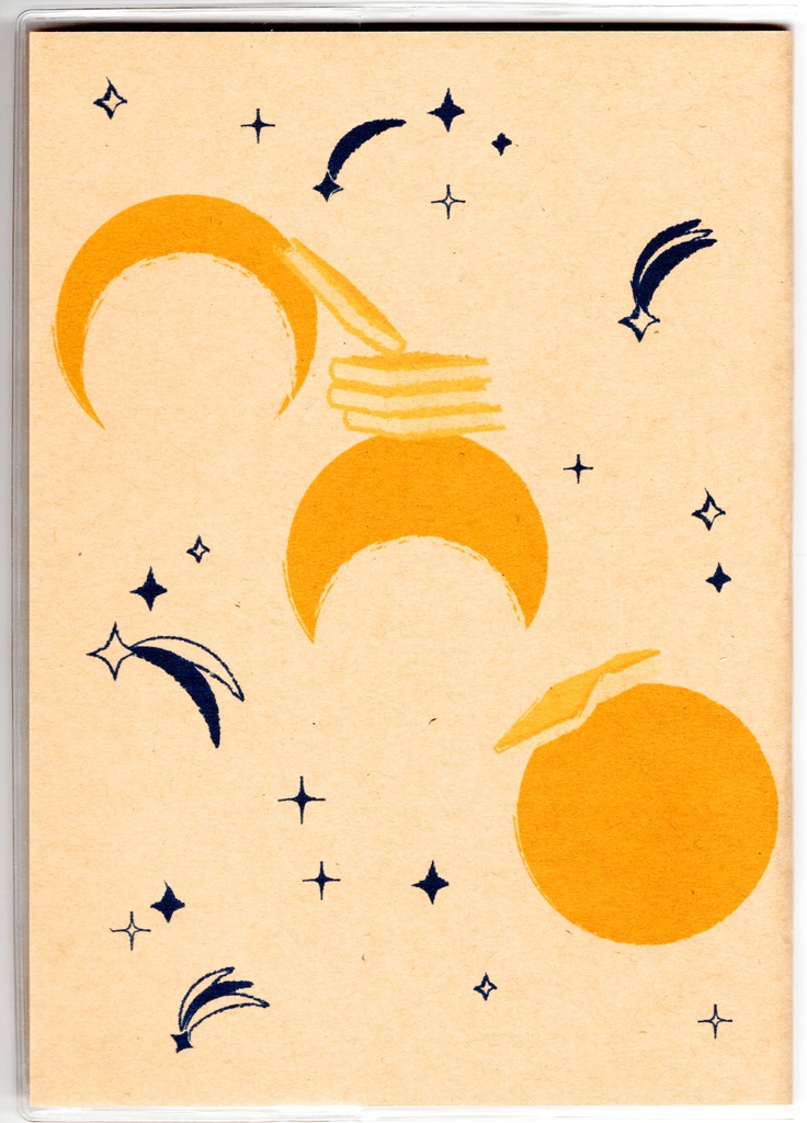 4月始まり 2025年 夜の読書会 金剛星 スケジュール手帳 イラストカバー2枚 栞付き B6 全48ページ 巳年 クマ 月 流れ星