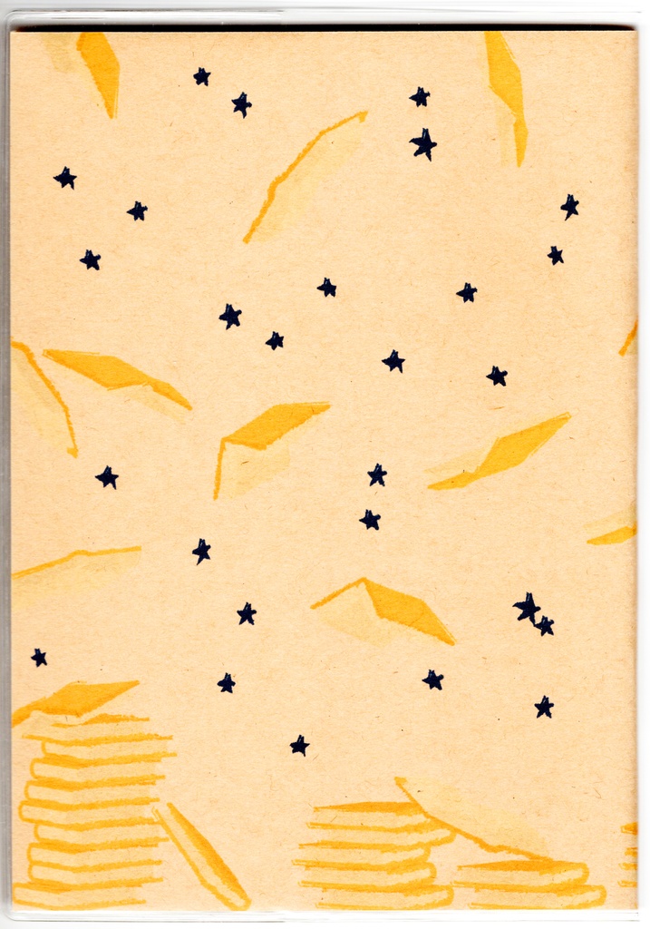 4月始まり 2025年 夜の読書会 金剛星 スケジュール手帳 イラストカバー2枚 栞付き B6 全48ページ 巳年 クマ 月 流れ星