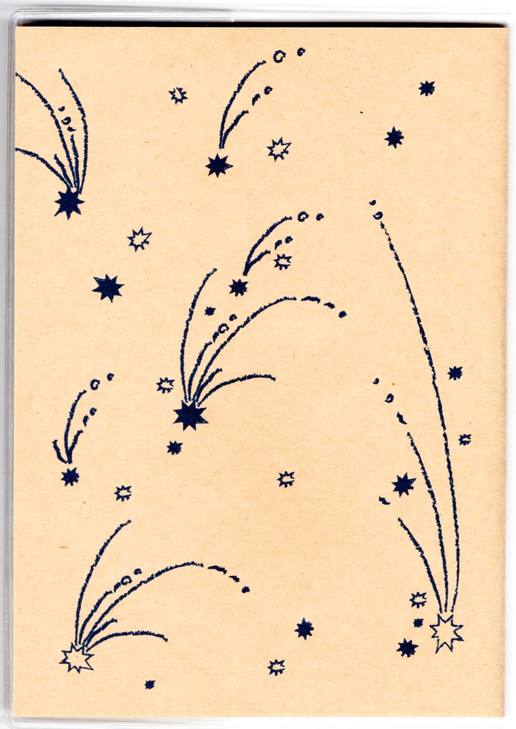 4月始まり 2025年 夜の読書会 糖花星紺箒星 スケジュール手帳 イラストカバー2枚 栞付き B6 全48ページ 巳年 クマ 月 流れ星