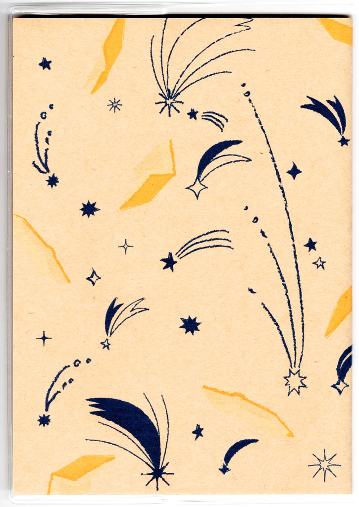 4月始まり 2025年 夜の読書会 羽根星 スケジュール手帳 イラストカバー2枚 栞付き B6 全48ページ 巳年 クマ 月 流れ星