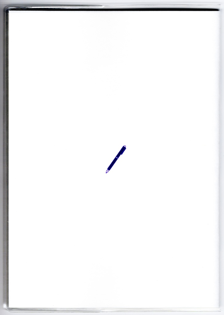 4月始まり 2025年 文豪鶴原稿用紙 スケジュール手帳 イラストカバー2枚 栞付き B6 全48ページ 巳年 文豪 万年筆 着物 動物