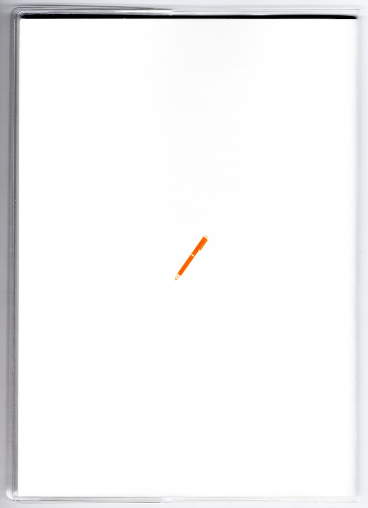 4月始まり 2025年 文豪狸原稿用紙 スケジュール手帳 イラストカバー2枚 栞付き B6 全48ページ 巳年 文豪 万年筆 着物 動物