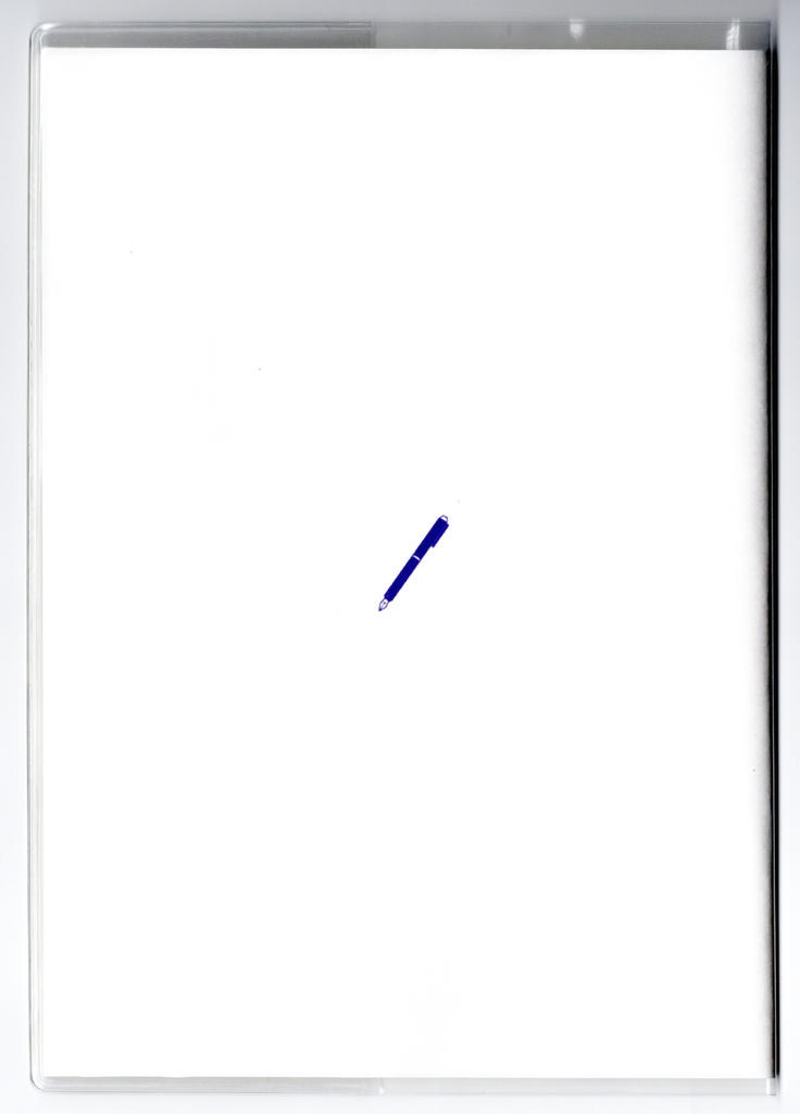 4月始まり 2026年 文豪鶴原稿用紙 スケジュール手帳 イラストカバー2枚 栞付き B6 午年 馬 十二支 文豪 万年筆 鳥 動物