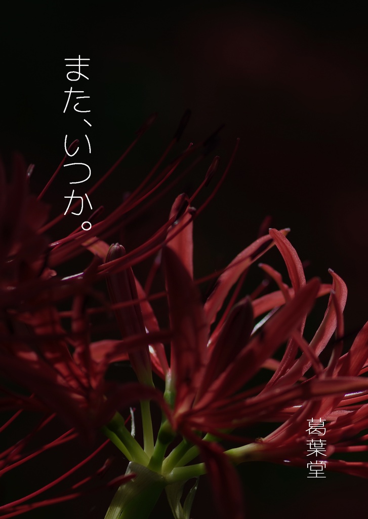 またいつか。