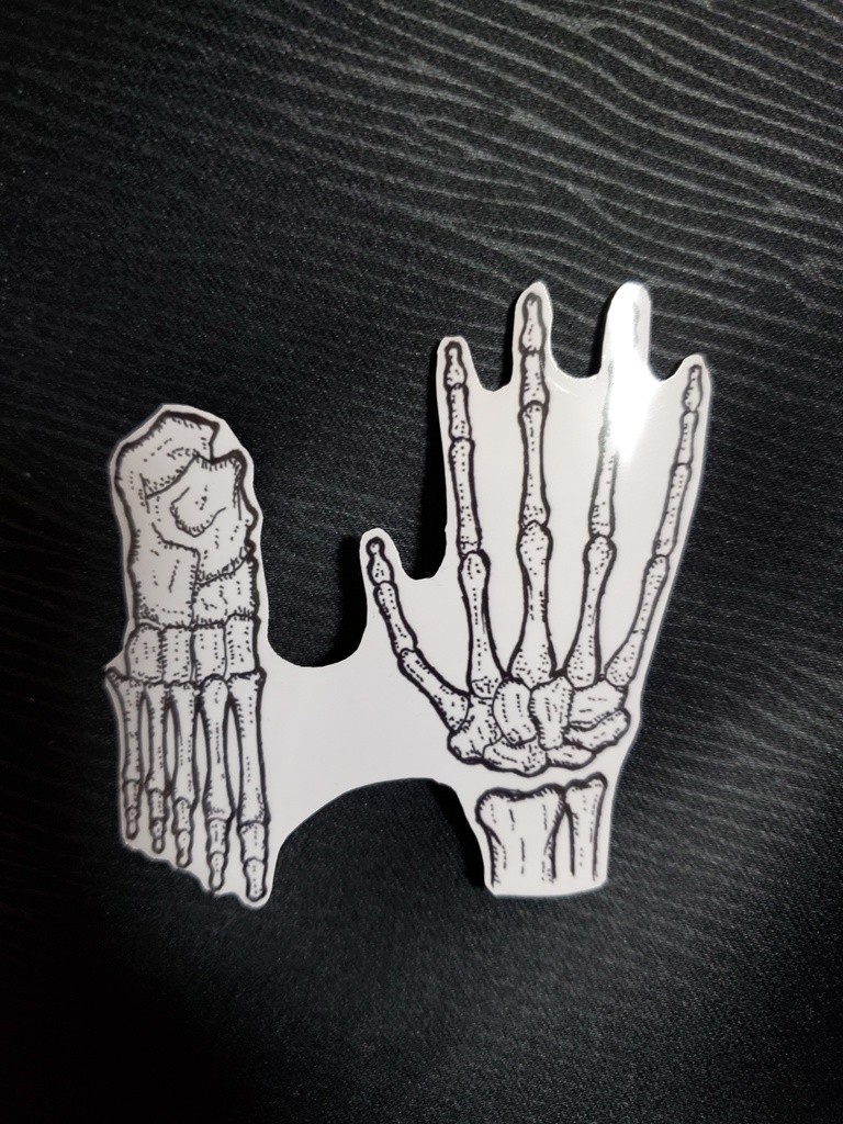 Bone🦴