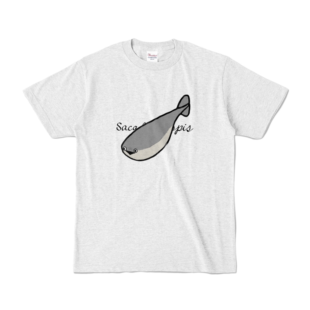 Sacabambaspis (黒文字)