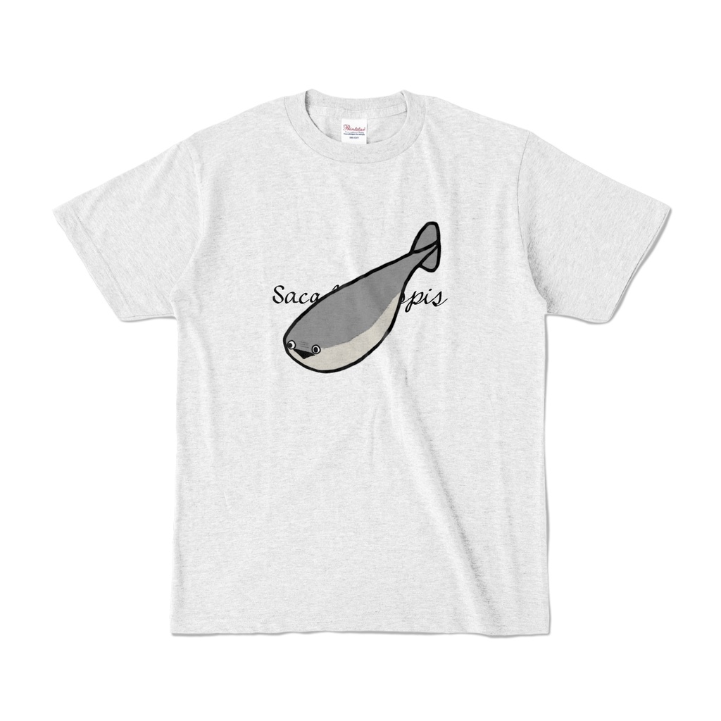 Sacabambaspis