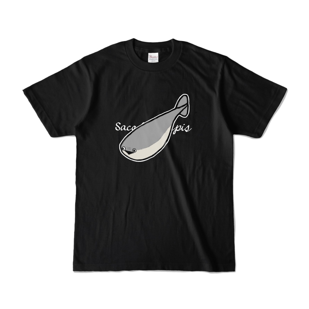 Sacabambaspis (白文字)