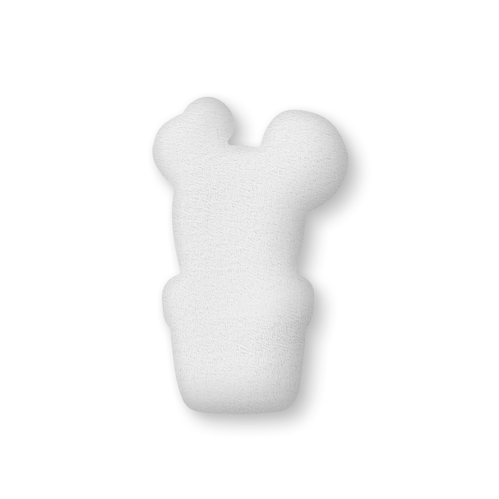 サボテンのクッション