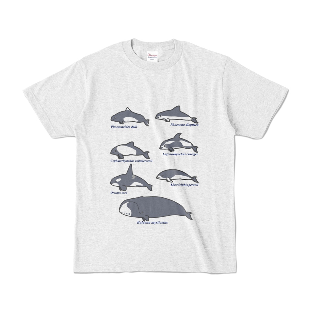 しろくろ鯨類Tシャツ