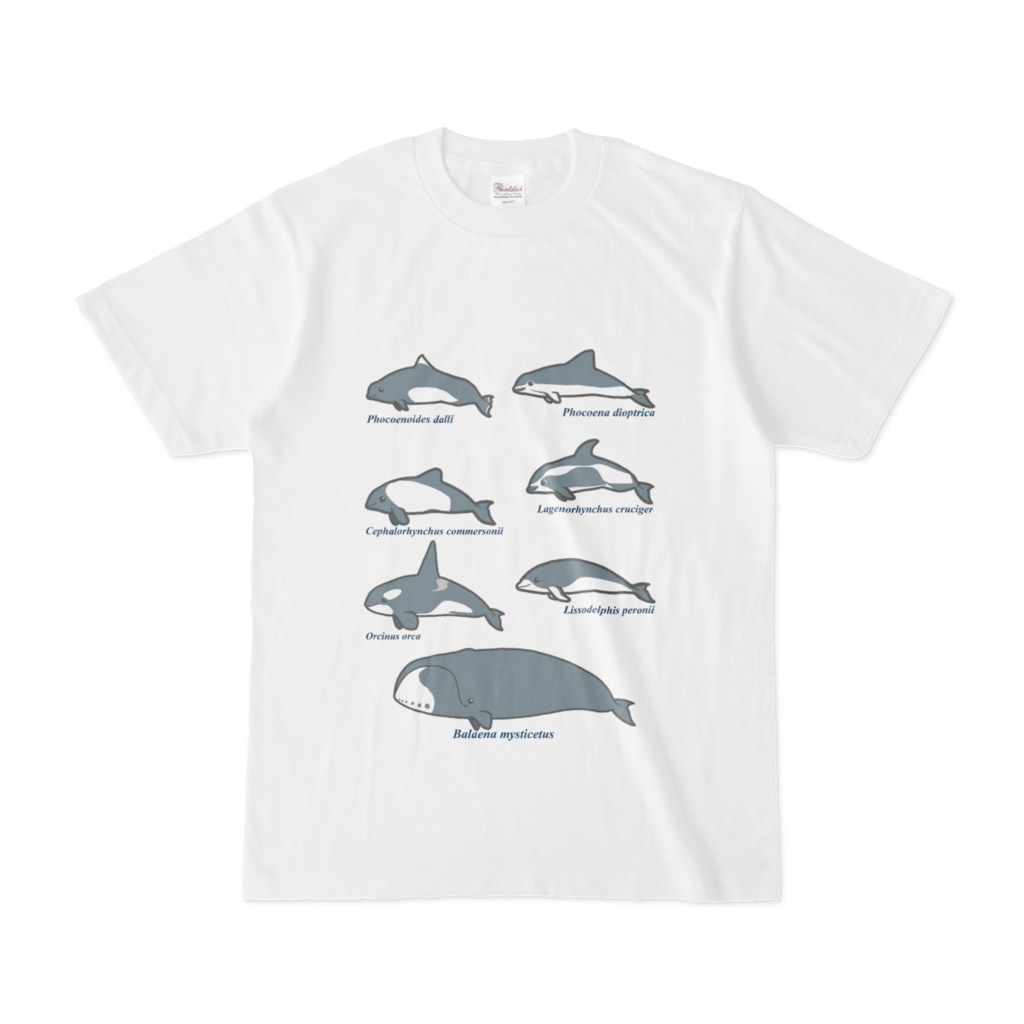 しろくろ鯨類Tシャツ