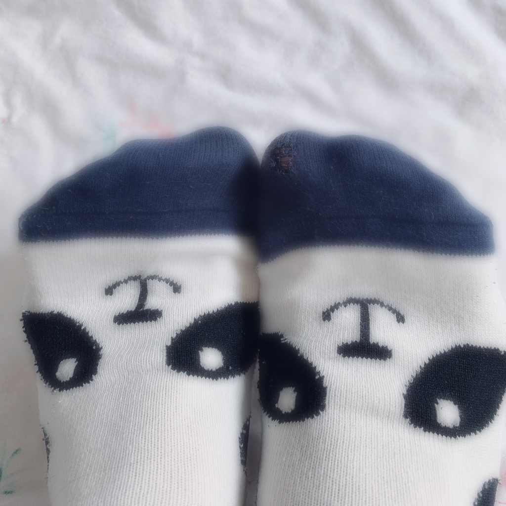 パンダ