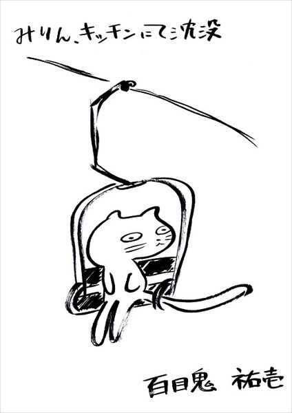 みりん、キッチンにて沈没