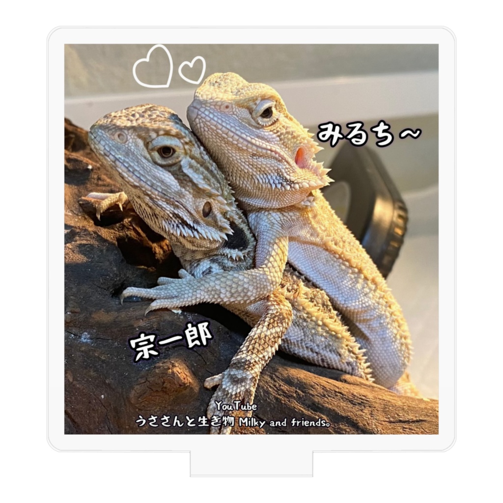 ミルチーと宗一郎アクリルフィギュア