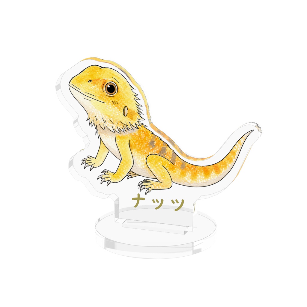 フトアゴヒゲトカゲ「ナッツくん」アクスタ